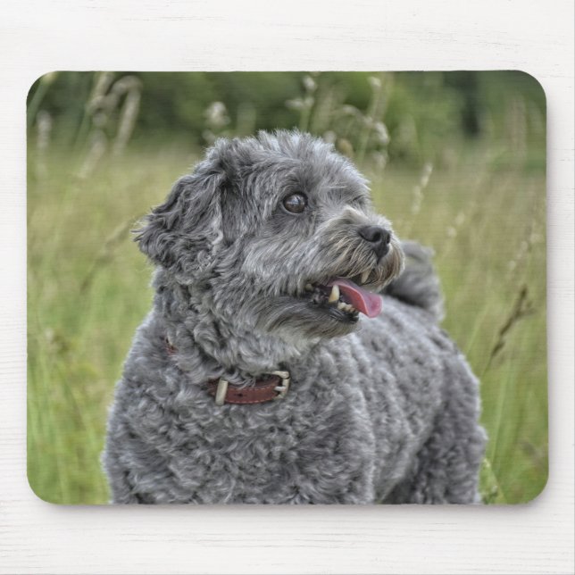 Niedlich Terrier Dog Mousepad (Vorne)