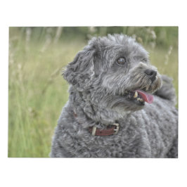 Niedlich Terrier Dog Notizblock