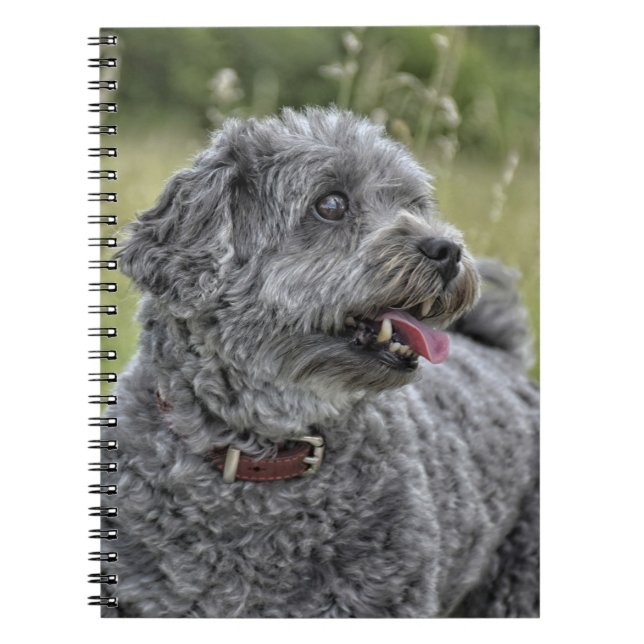 Niedlich Terrier Dog Notizblock (Vorderseite)