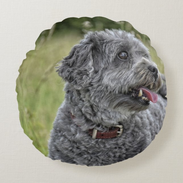 Niedlich Terrier Dog Rundes Kissen (Vorderseite)