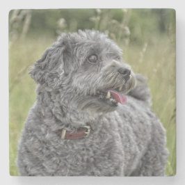 Niedlich Terrier Dog Steinuntersetzer