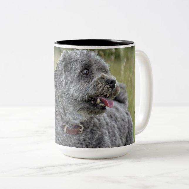 Niedlich Terrier Dog Zweifarbige Tasse (VorderseiteRechts)