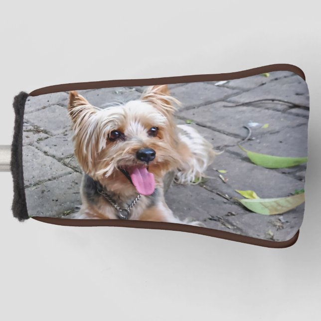 Niedlich Terrier Golf Head Cover Golf Headcover (Vorderseite)