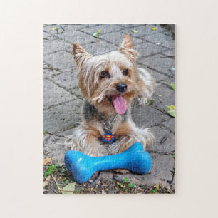 Niedlich Terrier Jigsaw Puzzle
