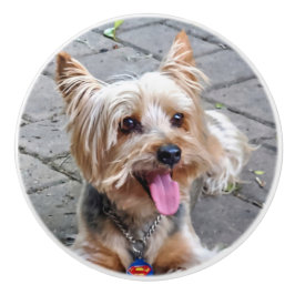 Niedlich Terrier Keramikknauf