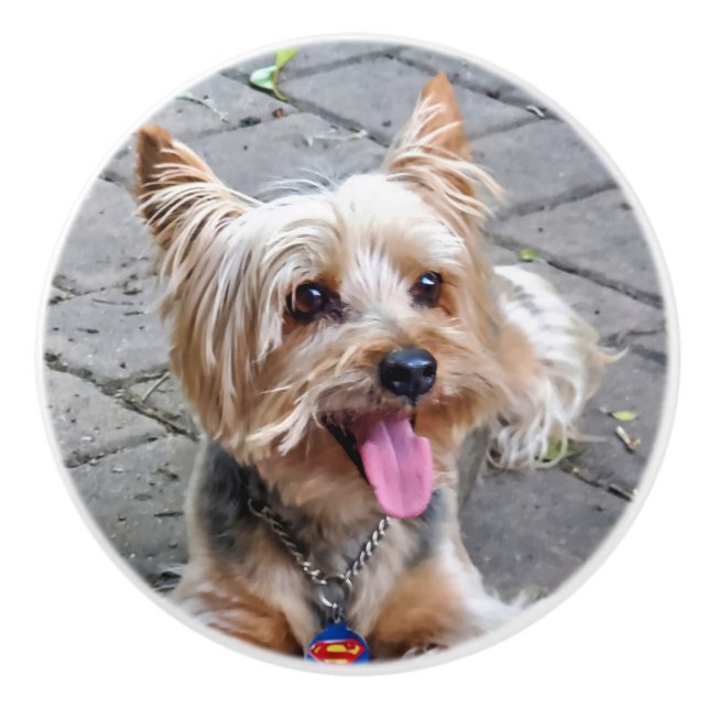 Niedlich Terrier Keramikknauf (Vorderseite)