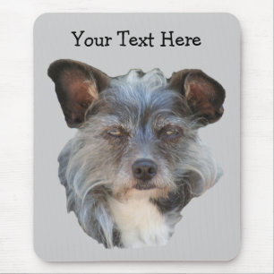 Niedlich Terrier Mixed Rasse Mutt Dog Mousepad