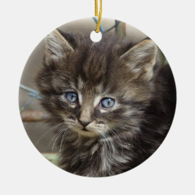 Niedlich Tiger-Cat Kitten Keramikornament (Vorne)