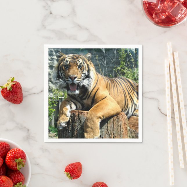 Niedlich Tiger Serviette (Beispiel)