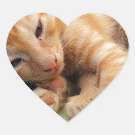 Niedlich Tiger Stripe Kitten Herz-Aufkleber