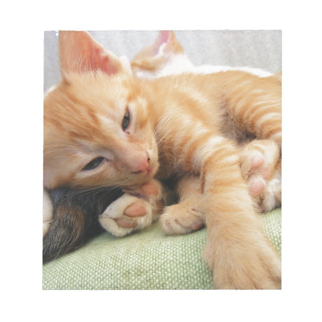 Niedlich Tiger Stripe Kitten Notizblock (Vorderseite)