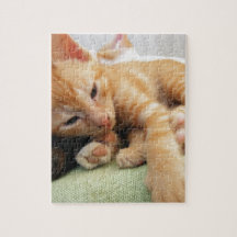 Niedlich Tiger Stripe Kitten
