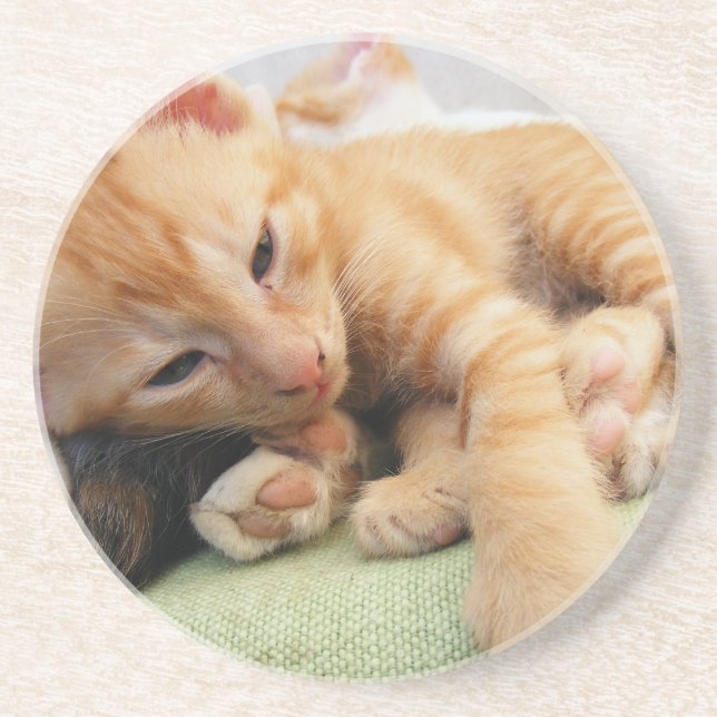 Niedlich Tiger Stripe Kitten Sandstein Untersetzer (Vorne)