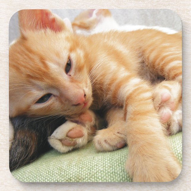 Niedlich Tiger Stripe Kitten Untersetzer (Vorderseite)