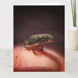 Niedlich Tiny Baby Toad / Kaulquappe Karte