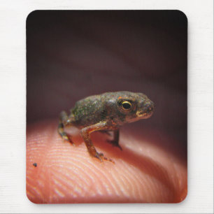 Niedlich Tiny Baby Toad / Kaulquappe Mousepad