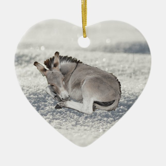 Niedlich Tiny Donkey Foal in Snow Keramik Ornament (Vorne)