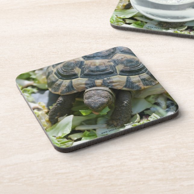 Niedlich Turtle Getränkeuntersetzer (Linke Seite)