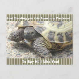 Niedlich Turtle "I Miss YOU" Sprichwort Hi Post Ca Postkarte