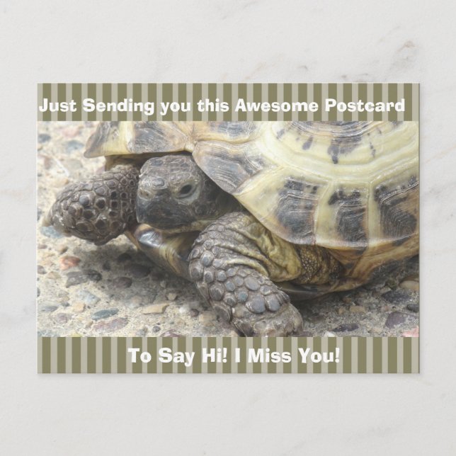 Niedlich Turtle "I Miss YOU" Sprichwort Hi Post Ca Postkarte (Vorderseite)