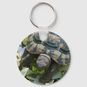 Niedlich Turtle Schlüsselanhänger