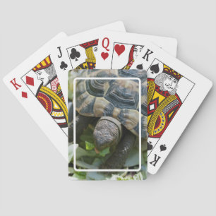 Niedlich Turtle Spielkarten