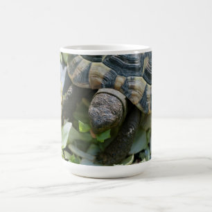 Niedlich Turtle Tasse