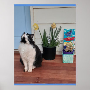 Niedlich Tuxedo Katzen Schwarz-weiße Katzen Blumen Poster