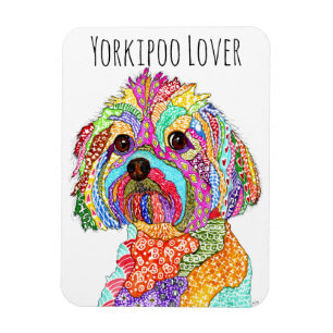 Niedlich und farbenfroh Yorkipoo Dog Magnet 3"x4"