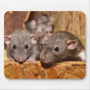 Niedlich und ironisch mousepad