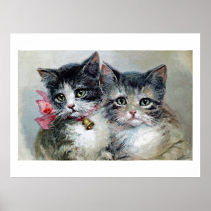 Niedlich und Niedlicher, Adorable Kittens, Poster