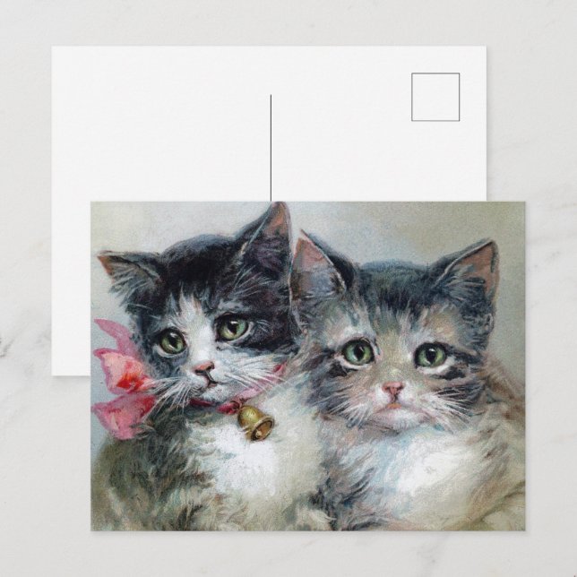 Niedlich und Niedlicher, Adorable Kittens, Postkarte (Vorne/Hinten)