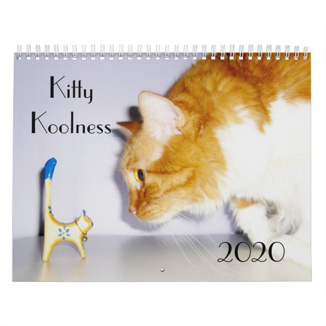 Niedlich und Spaß "Kitty Koolness" 2024 Katzenkale Kalender (Titelbild)