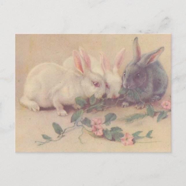 Niedlich Vintage Bunnies Postkarte (Vorderseite)