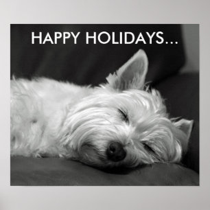 Niedlich West Highland Terrier Dog Poster