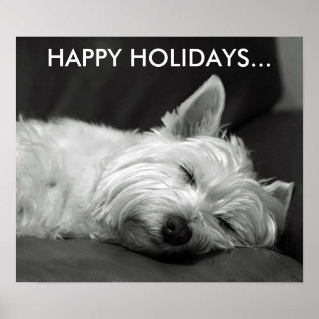 Niedlich West Highland Terrier Dog Poster (Vorne)