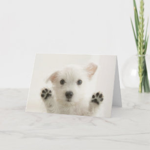 Niedlich Westie Puppy Karte