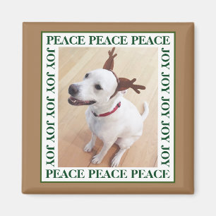 Niedlich White Rentier Welppy Dog Peace Jown Brown Magnet