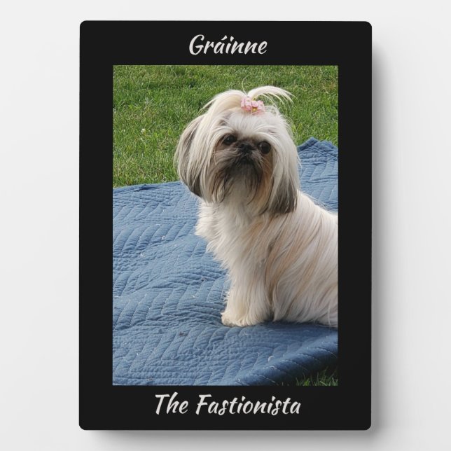 Niedlich White Yorkshire Terrier Fotoplatte (Vorderseite)