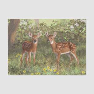 Niedlich Whitetail Deer Twin Fawns Seidenpapier