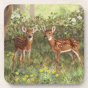 Niedlich Whitetail Deer Twin Fawns Untersetzer