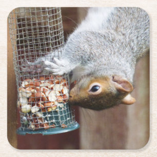 Niedlich Wild Gray Squirrel (UK) Rechteckiger Pappuntersetzer