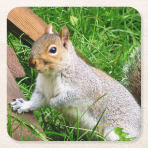 Niedlich Wild Gray Squirrel (UK) Rechteckiger Pappuntersetzer
