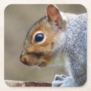 Niedlich Wild Gray Squirrel (UK) Rechteckiger Pappuntersetzer