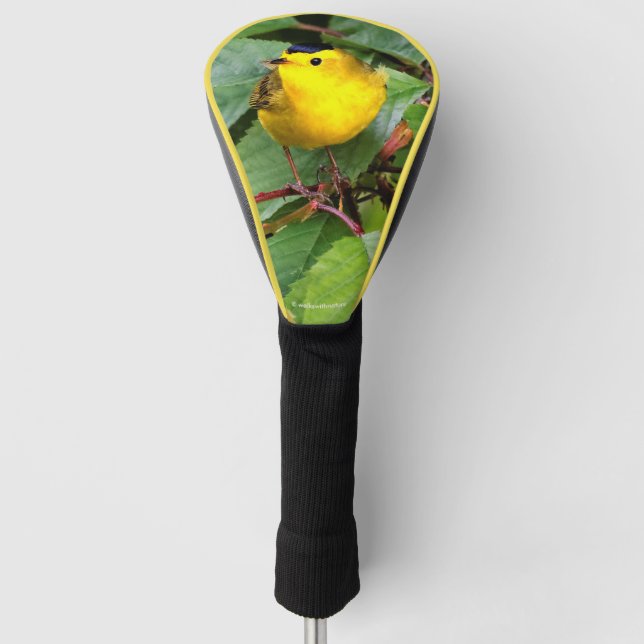 Niedlich Wilson's Warbler Songbird im Kirschbaum Golf Headcover (Vorderseite)