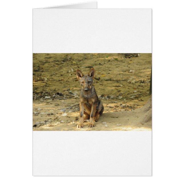 Niedlich Wolf Cub (Vorne)