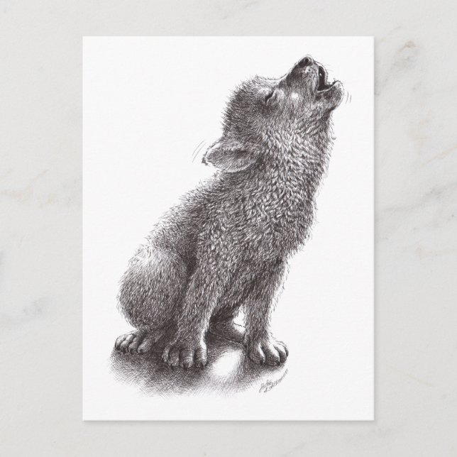 Niedlich Wolf Pup Postkarte (Vorderseite)