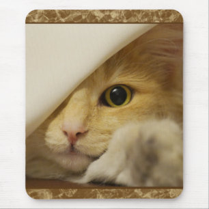 Niedlich Yellow Kitten Mousepad