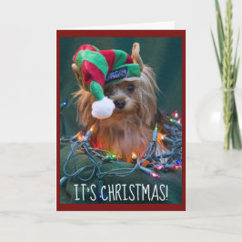 Niedlich Yorkie Wearing Elf Hat Feiertagskarte