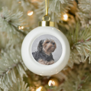 Niedlich Yorkie Yorkshire Terrier Sunbaden Keramik Kugel-Ornament